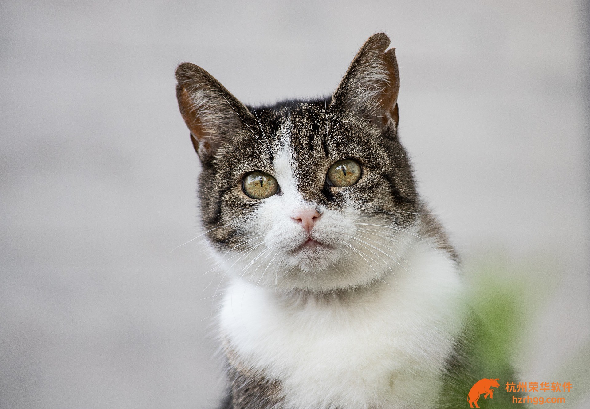 香港澳門開獎查詢結(jié)果：今晚最全開獎號碼即時速查