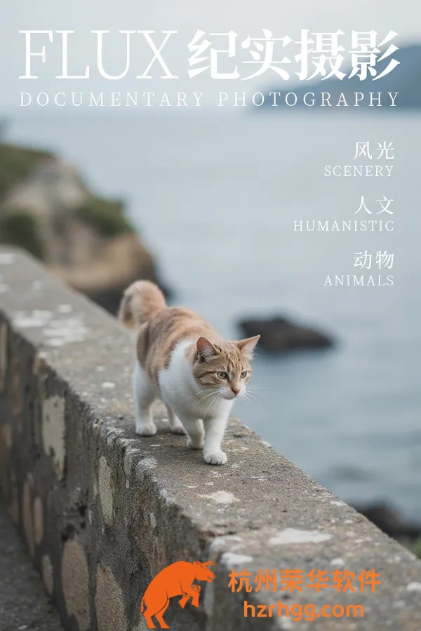 獨家公開：2025全年資料大全，選號、走勢、熱號一網(wǎng)打盡！